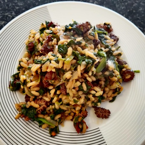 Vegant - Morels, spinach and red wine risotto